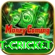 test cricket Pro Edition v1.1.8