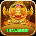tiger888 VIP Pro vv2.4.4