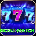 to day cricket match Elite Pro v2.2.4