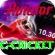 uc cricket Plus v4.5.9