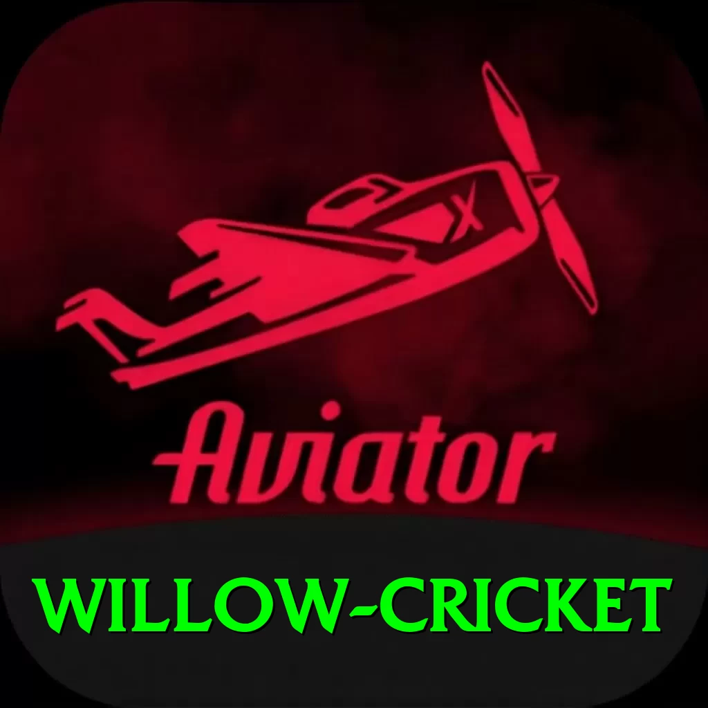 willow cricket Max v5.9.4 - 2