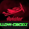 willow cricket Max v5.9.4