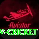 willow cricket Max v5.9.4