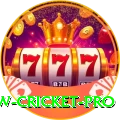 willow cricket Royal v3.6.1