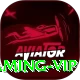 winpkr Gaming VIP