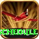 world cup t20 schedule Elite v1.6.2