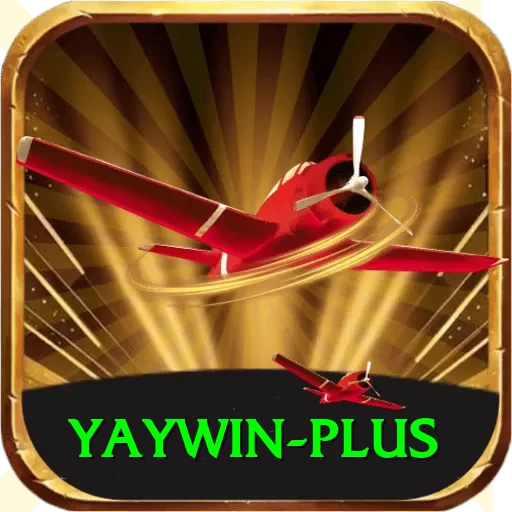 yaywin Premium v4.5.8 - 2