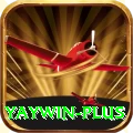 yaywin Premium v4.5.8